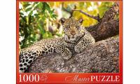 Рыжий кот. Masterpuzzle. Пазлы 1000 эл. арт.6883 Леопард на дереве